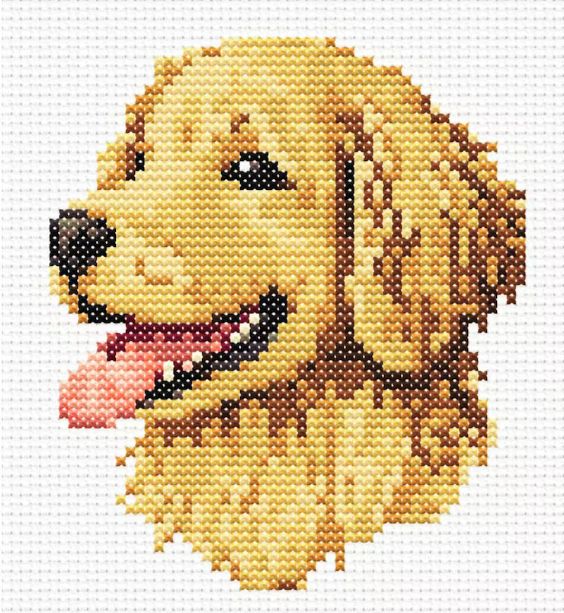 Thumbnail for Golden Retriever