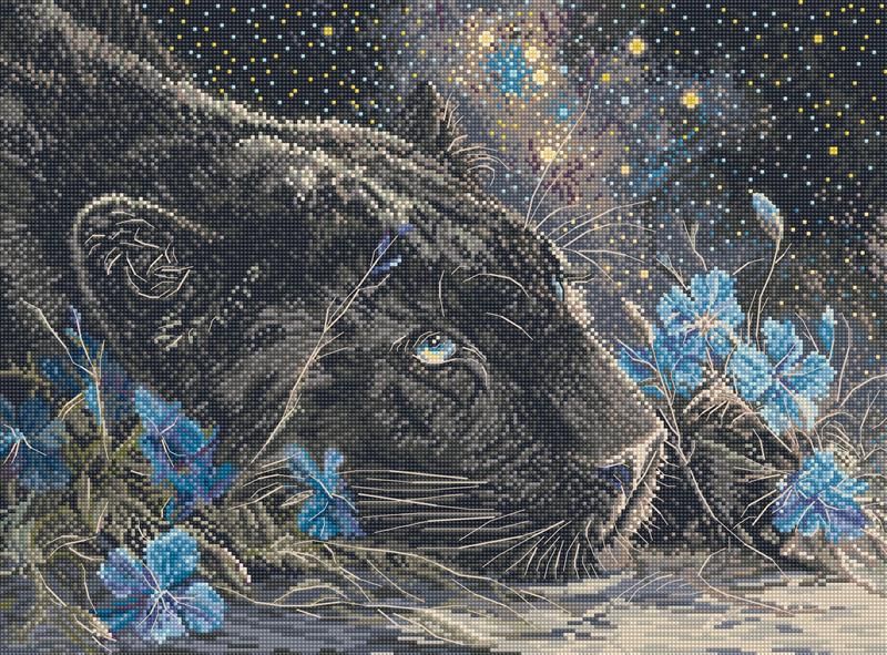 Starry Dreams