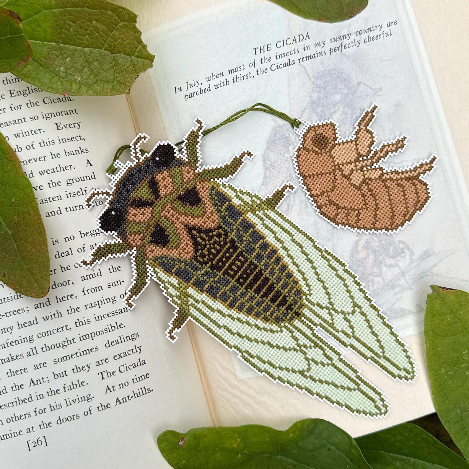 Thumbnail for Cicada Season