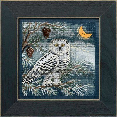 MH 14-4304 Snowy Owl