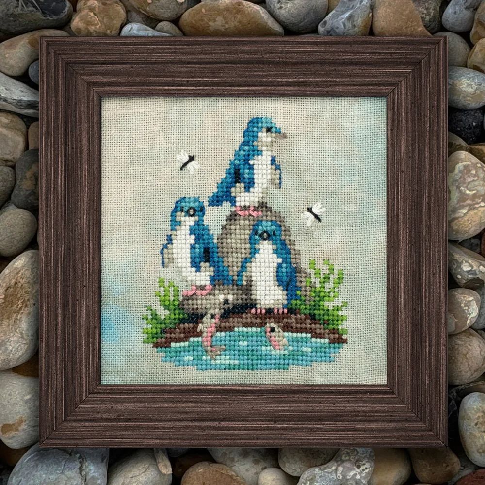 Fairy Penguins