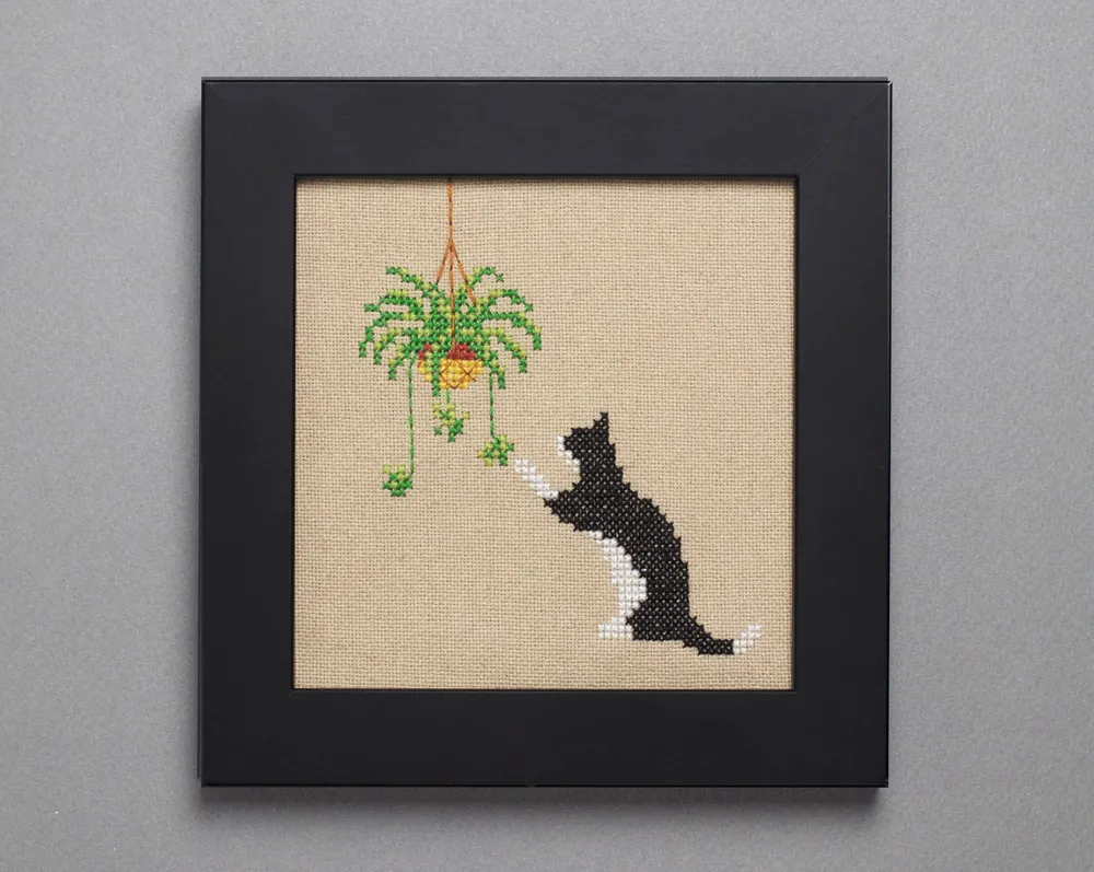 Cat and Spider Plant