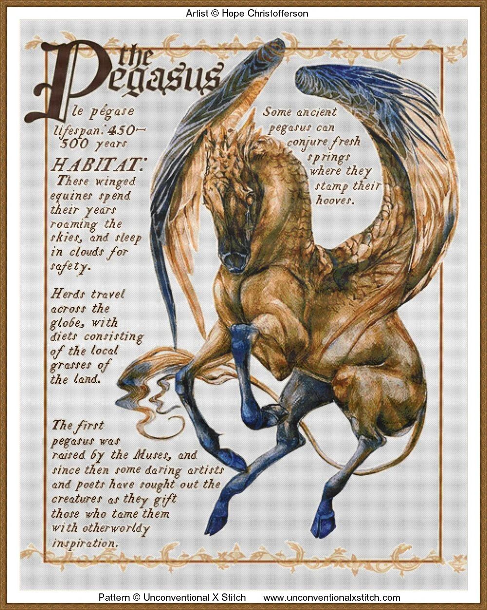 Thumbnail for Pegasus Field Note