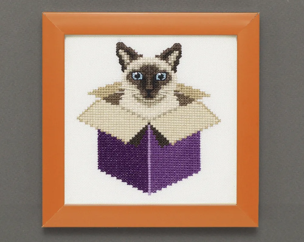 Just a Cat in a Box: Siamese