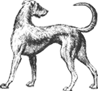 Long Dog Samplers